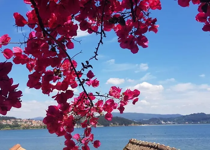 Σπίτι διακοπών Casa Cordieira